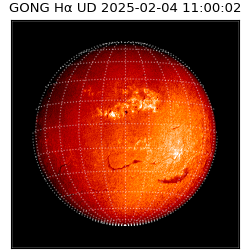 gong - 2025-02-04T11:00:02
