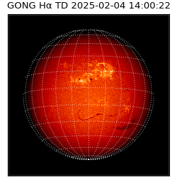gong - 2025-02-04T14:00:22