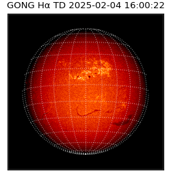 gong - 2025-02-04T16:00:22