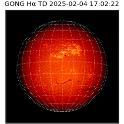 gong - 2025-02-04T17:02:22