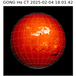 gong - 2025-02-04T18:01:42