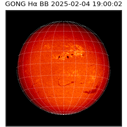 gong - 2025-02-04T19:00:02