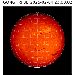 gong - 2025-02-04T23:00:02