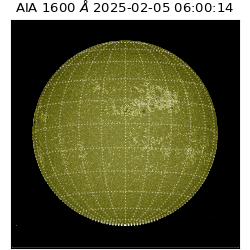 saia - 2025-02-05T06:00:14.126000
