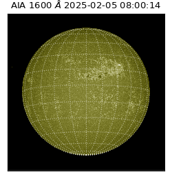 saia - 2025-02-05T08:00:14.126000