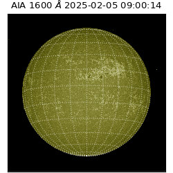 saia - 2025-02-05T09:00:14.126000