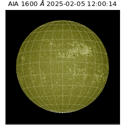 saia - 2025-02-05T12:00:14.129000