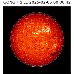 gong - 2025-02-05T00:00:42