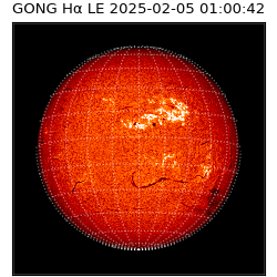 gong - 2025-02-05T01:00:42