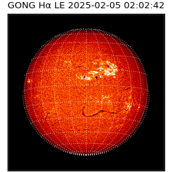 gong - 2025-02-05T02:02:42