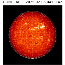 gong - 2025-02-05T04:00:42