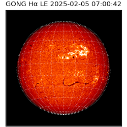 gong - 2025-02-05T07:00:42