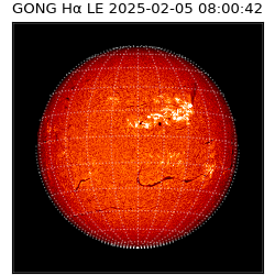 gong - 2025-02-05T08:00:42