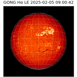 gong - 2025-02-05T09:00:42
