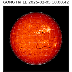 gong - 2025-02-05T10:00:42