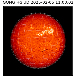 gong - 2025-02-05T11:00:02