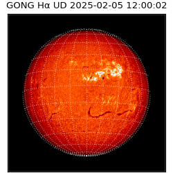 gong - 2025-02-05T12:00:02