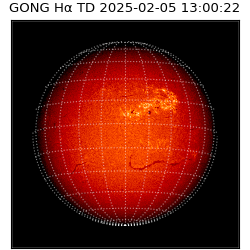 gong - 2025-02-05T13:00:22