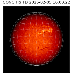 gong - 2025-02-05T16:00:22