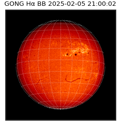 gong - 2025-02-05T21:00:02