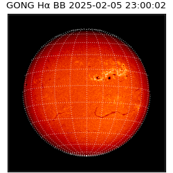 gong - 2025-02-05T23:00:02