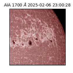 saia - 2025-02-06T23:00:28.718000