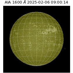 saia - 2025-02-06T09:00:14.126000
