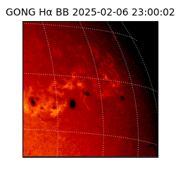 gong - 2025-02-06T23:00:02