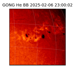 gong - 2025-02-06T23:00:02