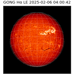 gong - 2025-02-06T04:00:42