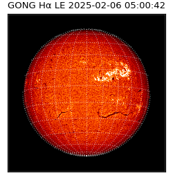 gong - 2025-02-06T05:00:42