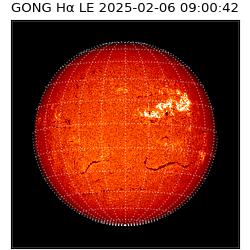 gong - 2025-02-06T09:00:42
