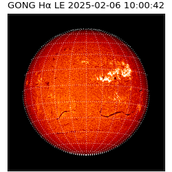 gong - 2025-02-06T10:00:42