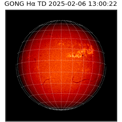 gong - 2025-02-06T13:00:22