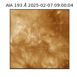 saia - 2025-02-07T09:00:04.846000