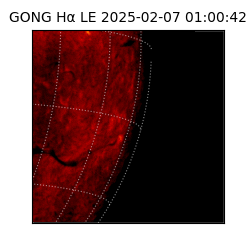 gong - 2025-02-07T01:00:42