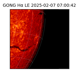 gong - 2025-02-07T07:00:42