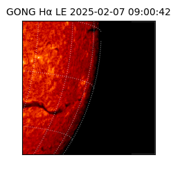 gong - 2025-02-07T09:00:42