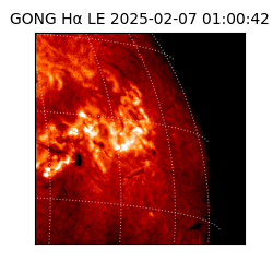 gong - 2025-02-07T01:00:42