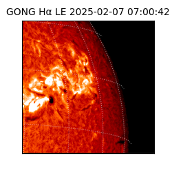 gong - 2025-02-07T07:00:42