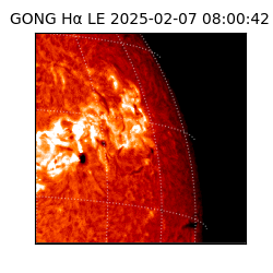gong - 2025-02-07T08:00:42