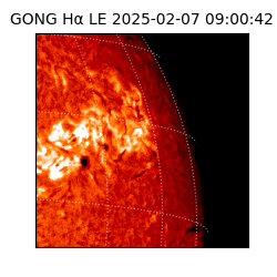 gong - 2025-02-07T09:00:42
