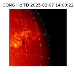 gong - 2025-02-07T14:00:22