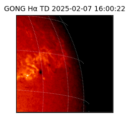 gong - 2025-02-07T16:00:22
