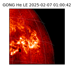 gong - 2025-02-07T01:00:42