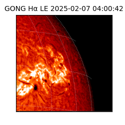 gong - 2025-02-07T04:00:42