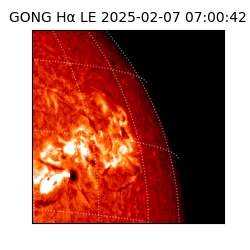 gong - 2025-02-07T07:00:42