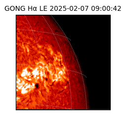gong - 2025-02-07T09:00:42