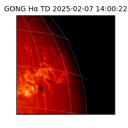 gong - 2025-02-07T14:00:22