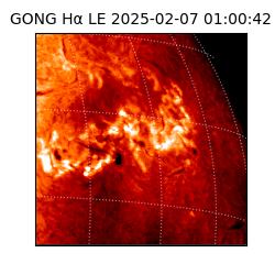 gong - 2025-02-07T01:00:42